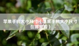 苹果手机大小尺寸（苹果手机大小尺寸在哪里看）