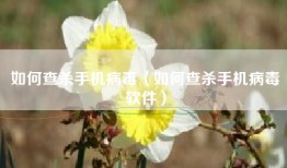 如何查杀手机病毒（如何查杀手机病毒软件）