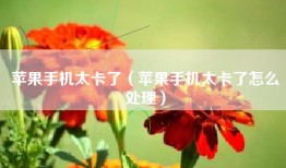 苹果手机太卡了（苹果手机太卡了怎么处理）