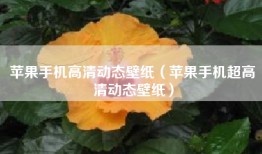 苹果手机高清动态壁纸（苹果手机超高清动态壁纸）