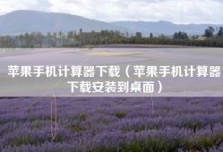 苹果手机计算器下载（苹果手机计算器下载安装到桌面）