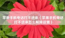 苹果手机电话打不进来（苹果手机电话打不进来怎么解除设置）