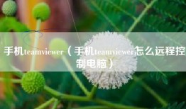 手机teamviewer（手机teamviewer怎么远程控制电脑）