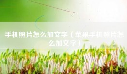 手机照片怎么加文字（苹果手机照片怎么加文字）