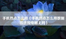 手机热点怎么用（手机热点怎么用数据线连接电脑上网）