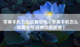 苹果手机怎么设置空号（苹果手机怎么设置空号,还有信息提醒）