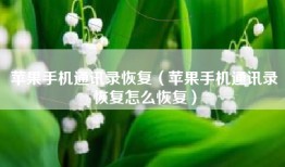 苹果手机通讯录恢复（苹果手机通讯录恢复怎么恢复）