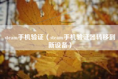 steam手机验证（steam手机验证器转移到新设备）