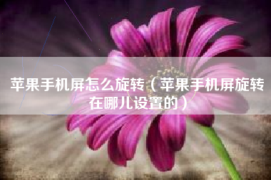 苹果手机屏怎么旋转（苹果手机屏旋转在哪儿设置的）