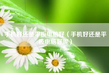 手机好还是平板电脑好（手机好还是平板电脑好呢）