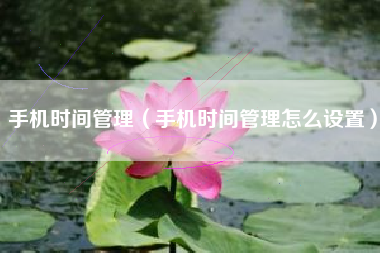 手机时间管理（手机时间管理怎么设置）