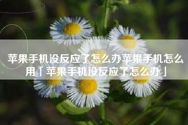 苹果手机没反应了怎么办苹果手机怎么用「苹果手机没反应了怎么办」